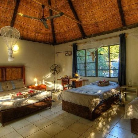 Okavango River Lodge マウン エクステリア 写真